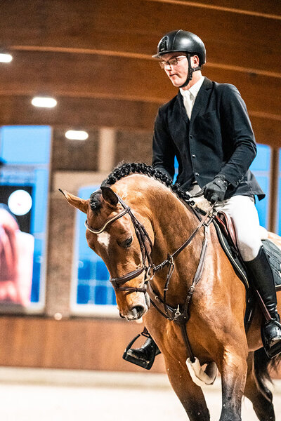 Pegasus by Pegase van't Ruytershof out of Istersina by Numero Uno - Ahorn | Breeder: M.A. Hijlkema H.B. Dirksen, Netherlands