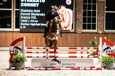 Stakkato Cornet by Stakkato Gold out of Lamose MB by Cornet Obolensky x Arezzo VDL | Breeder: Highfield Genetics, Netherlands