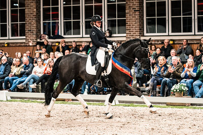 Bon Coeur by Benetton Dream FRH out of Sonnenschein by Sandro Hit - Carismo | Breeder: Birgit Tietjen, Taaken