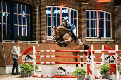 Capital One by Cador out of Shanuka by Stakkato - Zeus | Breeder: Otto Ahlers, Osterholz-Scharmbeck