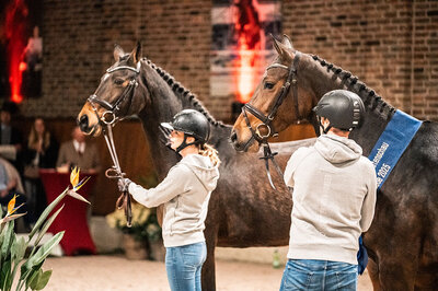 OS-winner mare Casalique by Casalido and dam Laquirinha by Quality - Landor S | Breeder: Gerd Sosath, Lemwerder