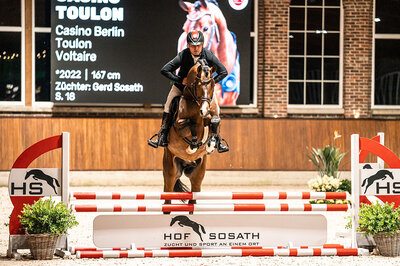 1c-Premium stallion Casino Toulon by Casino Berlin out of Gestelle by Toulon - Voltaire | Breeder: Gerd Sosath, Lemwerder