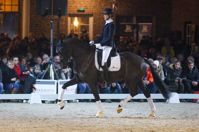 Prime Time von Painted Black a.d. Fivanny v. Negro x Ulster | Züchter: Maatschap Pleyter, Niederlande 