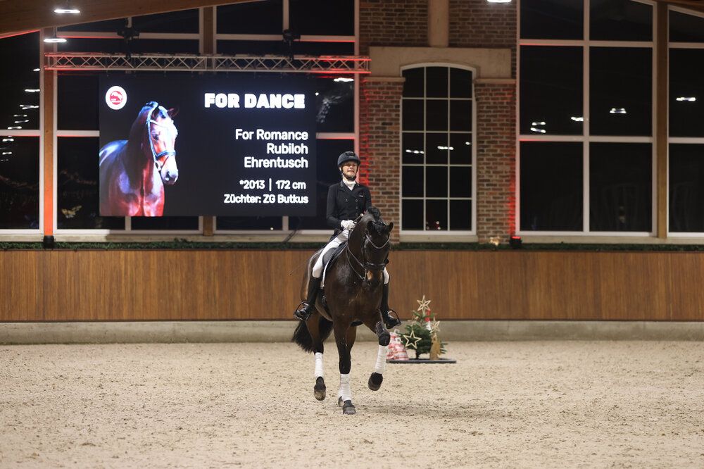 For Dance von For Romance aus der Reverie von Rubiloh - Ehrentusch | Züchter: ZG Butkus, Overath