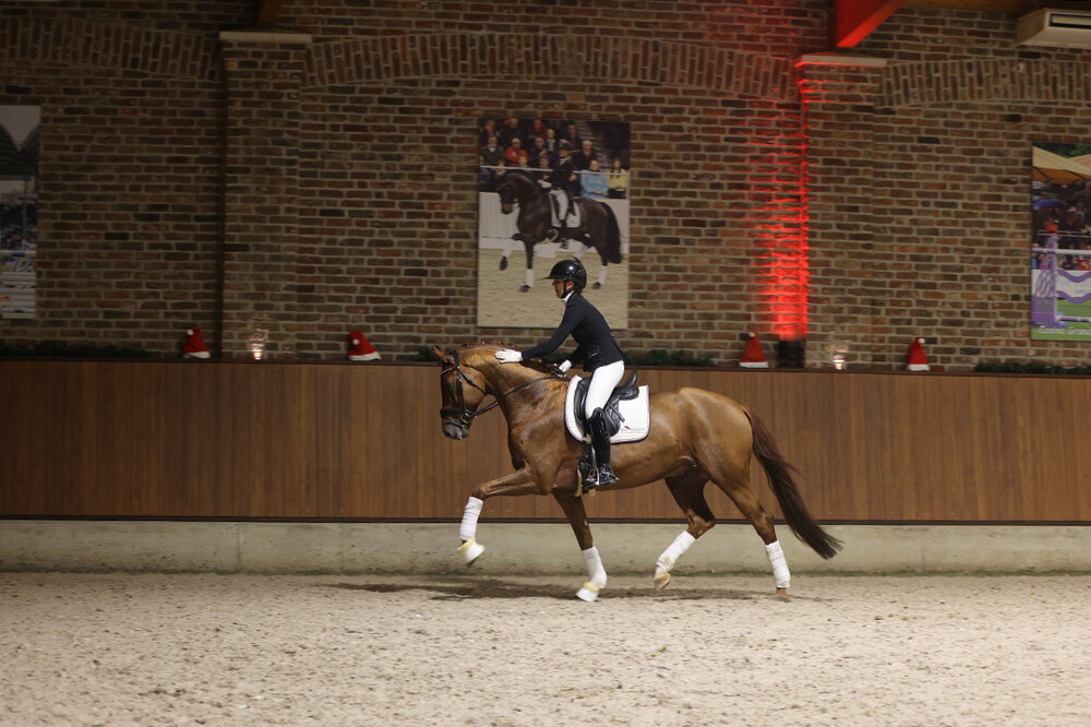 Vivaldos von Vivaldi aus der St.Pr.St. Doris Day von Desperados FRH - Brentano II | Züchter: Anna Genfors, Förslöv, Schweden 