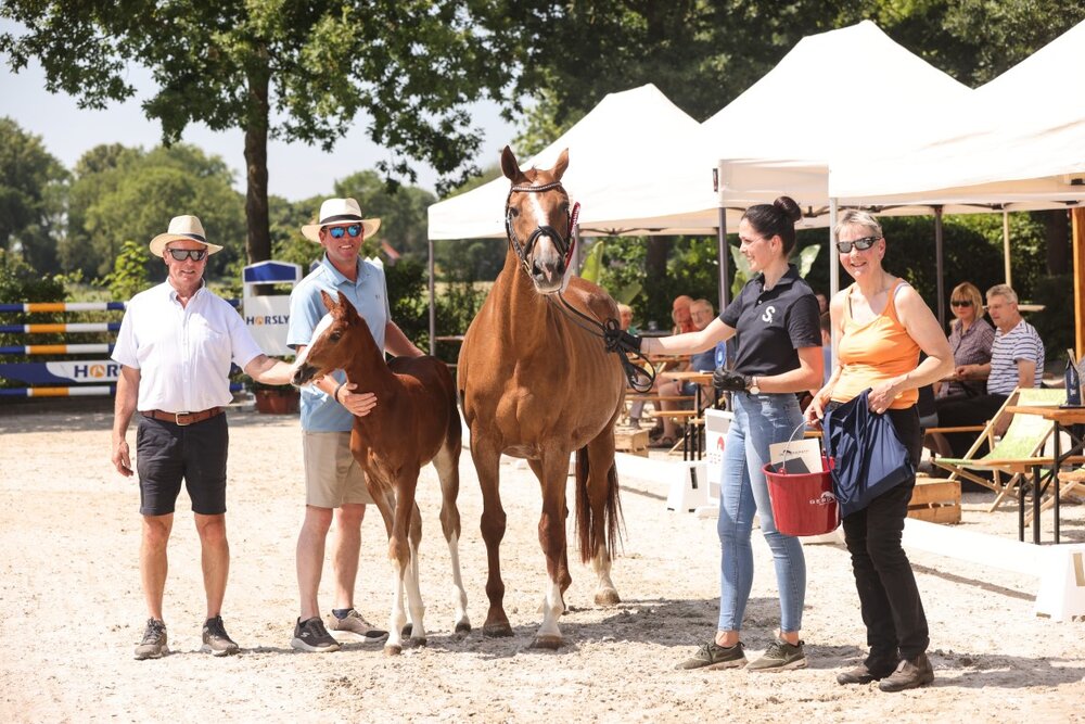 Stutfohlen von Chatendro aus der Leanne von Ludwigs As - Landfriese | Züchter: Harma van der Berg, Zuidlaren