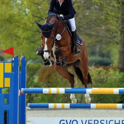 Bertha M by Naldo x Consulting | Breeder: Dirk Meiners, Ganderkesee