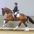 Basti by Bon Coeur out of New Generation III by De Niro - Sion | Breeder: Maik Kanitzky, Herzberg