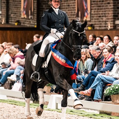 Bon Coeur von Benetton Dream FRH aus der Sonnenschein von Sandro Hit - Carismo | Züchter: Birgit Tietjen, Taaken