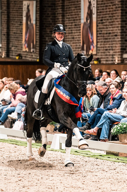 Bon Coeur von Benetton Dream FRH aus der Sonnenschein von Sandro Hit - Carismo | Züchter: Birgit Tietjen, Taaken