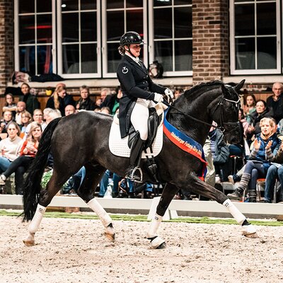 Bon Coeur von Benetton Dream FRH aus der Sonnenschein von Sandro Hit - Carismo | Züchter: Birgit Tietjen, Taaken