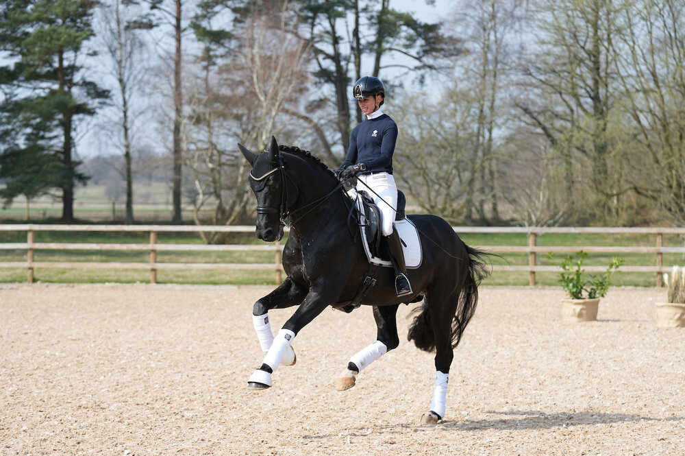 Bon Coeur von Benetton Dream FRH aus der Sonnenschein von Sandro Hit - Carismo | Züchterin: Birgit Tietjen, Taaken