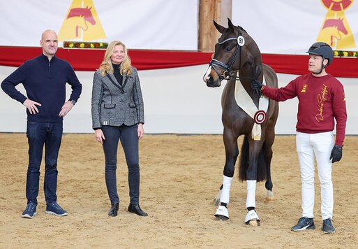 Donkey Amour von Donkey Boy aus der Sonnenschein S von San Amour I - Cabaret | Züchterin: Sabine Reisenauer, Uhingen