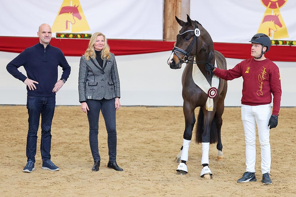 Donkey Amour von Donkey Boy aus der Sonnenschein S von San Amour I - Cabaret | Züchterin: Sabine Reisenauer, Uhingen