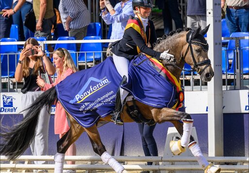 Noble Dance von Neverland WE aus der Alposas Calimeros Champions League von FS Calimero - FS Champion de Luxe | Züchterin: Simone Liebing, Olfen