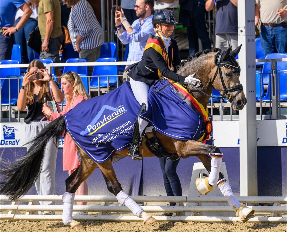 Noble Dance von Neverland WE aus der Alposas Calimeros Champions League von FS Calimero - FS Champion de Luxe | Züchterin: Simone Liebing, Olfen