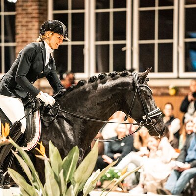 Sir Franklin von So Perfect aus der Lufradin von Franklin - Gribaldi | Züchter: JP Lommers und van den Oetelaar, Niederlande