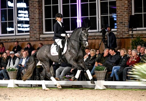 Bondolo von Bonds aus der Touch my Soul SN von Totilas - Stoiber SN | Züchter: Sandra Neff, Frankenberg