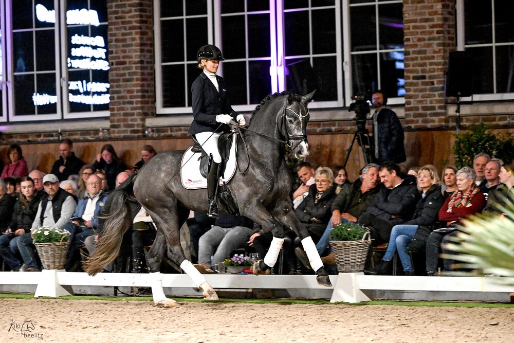 Bondolo von Bonds aus der Touch my Soul SN von Totilas - Stoiber SN | Züchter: Sandra Neff, Frankenberg