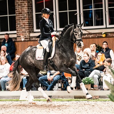 Bondolo by Bonds out of Touch my Soul SN by Totilas - Stoiber SN | Breeder: Sandra Neff, Frankenberg