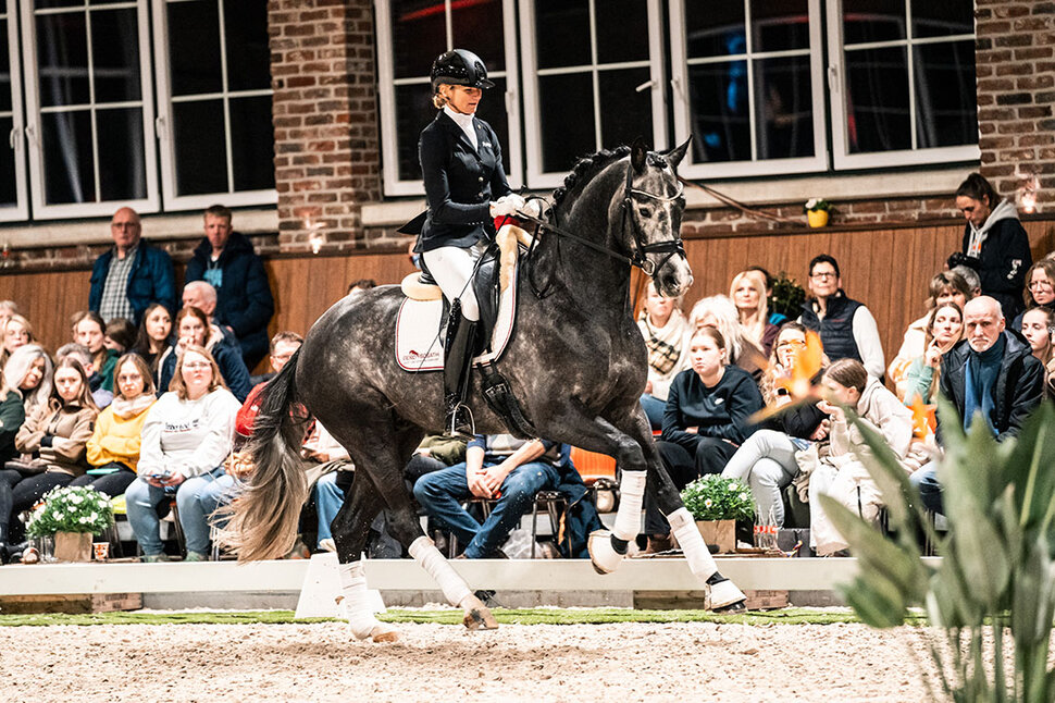 Bondolo by Bonds out of Touch my Soul SN by Totilas - Stoiber SN | Breeder: Sandra Neff, Frankenberg