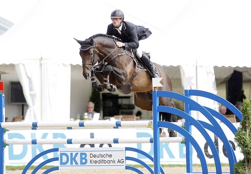 Cador von Catoki aus der Lady Heida II von Landor S - Contender | Züchter: Gerd Sosath, Lemwerder