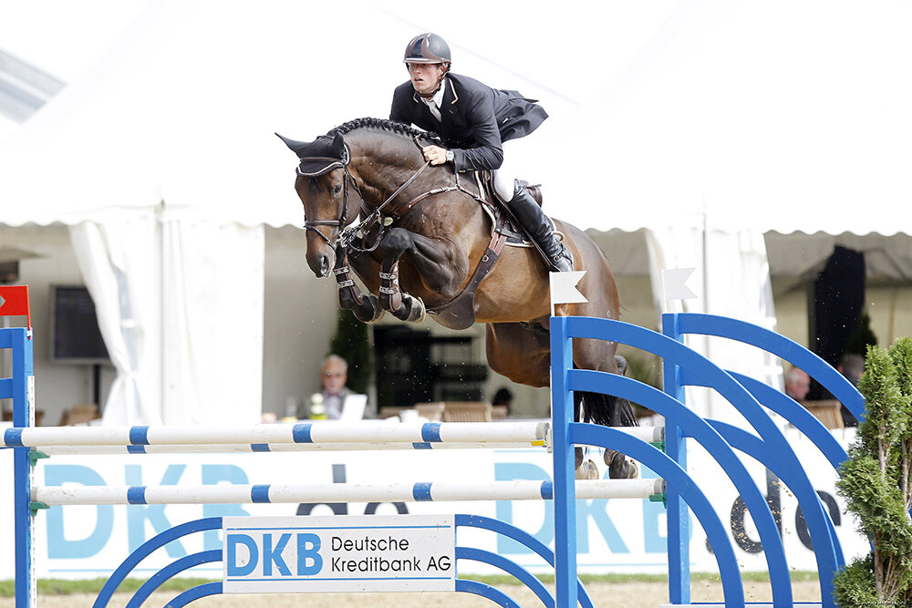 Cador von Catoki aus der Lady Heida II von Landor S - Contender | Züchter: Gerd Sosath, Lemwerder