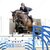 Cador by Catoki out of Lady Heida II by Landor S - Contender | Breeder: Gerd Sosath, Lemwerder (Germany)