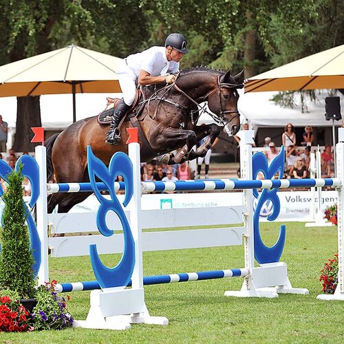 Cador by Catoki out of Lady Heida II by Landor S - Contender | Breeder: Gerd Sosath, Lemwerder (Germany)