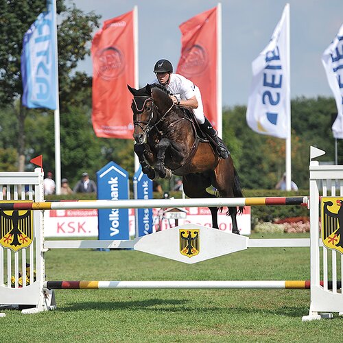 Cador by Catoki out of Lady Heida II by Landor S - Contender | Breeder: Gerd Sosath, Lemwerder (Germany)