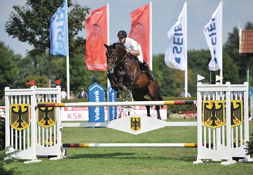 Cador von Catoki aus der Lady Heida II von Landor S - Contender | Züchter: Gerd Sosath, Lemwerder