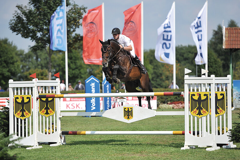 Cador von Catoki aus der Lady Heida II von Landor S - Contender | Züchter: Gerd Sosath, Lemwerder