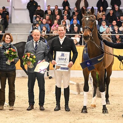 Elite Stallion Cador by Catoki out of Lady Heida II by Landor S - Contender | Breeder: Gerd Sosath, Lemwerder