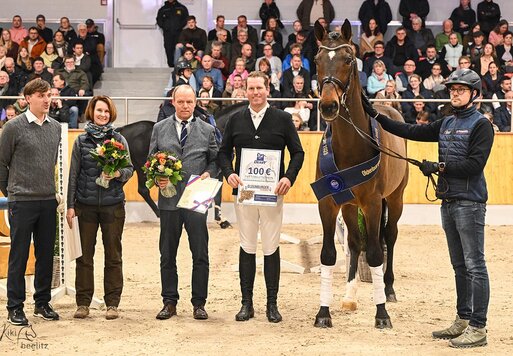 Elitehengst Cador von Catoki aus der Lady Heida II von Landor S - Contender | Züchter: Gerd Sosath, Lemwerder