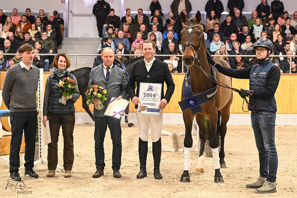 Elitehengst Cador von Catoki aus der Lady Heida II von Landor S - Contender | Züchter: Gerd Sosath, Lemwerder