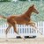Conrad von Dienstag by Cador out of Zarah Leander by Zacharov - For Pleasure | Breeder: Lars Rethemeier, Lienen