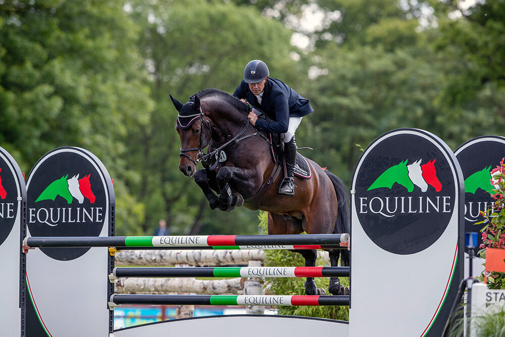 Campitello von Cador aus der Heidestar von Quickstar - Acorado | Züchter: Gerd Sosath, Lemwerder 