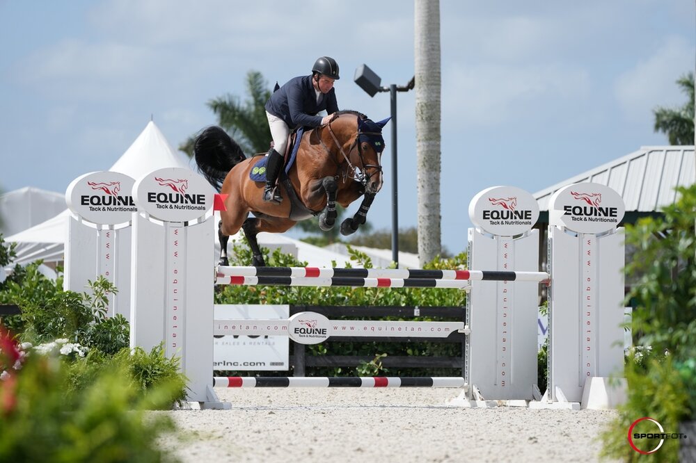 Calox von Cador x Lordanos | Züchter: Dietrich Tomforde, Kutenholz 