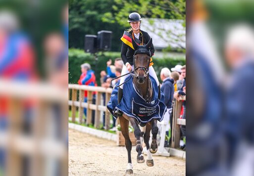 Catch Me P von Cador aus der Queen P von Quattro B - Restorator | Züchter: Landwirtschaftbetrieb Pfitzmann GbR, Linde