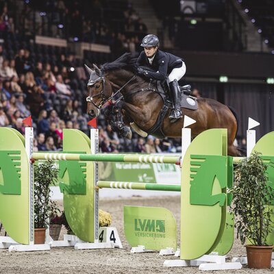 Cadence by Cador out of Ricola by Lordanos – Noble Roi xx | Breeder: Walter Naehring, Oldenburg | © Johanna Milse