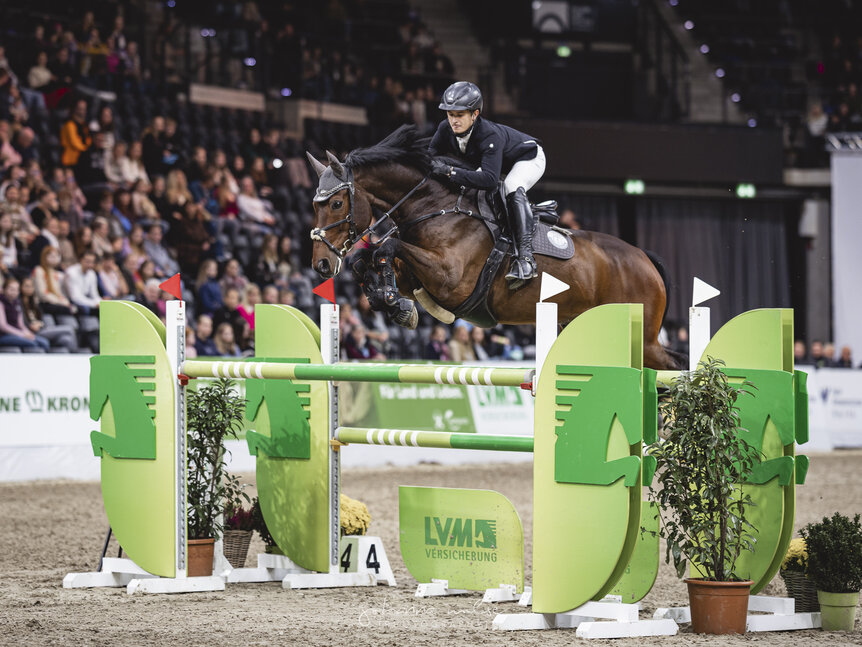 Cadence by Cador out of Ricola by Lordanos – Noble Roi xx | Breeder: Walter Naehring, Oldenburg | © Johanna Milse