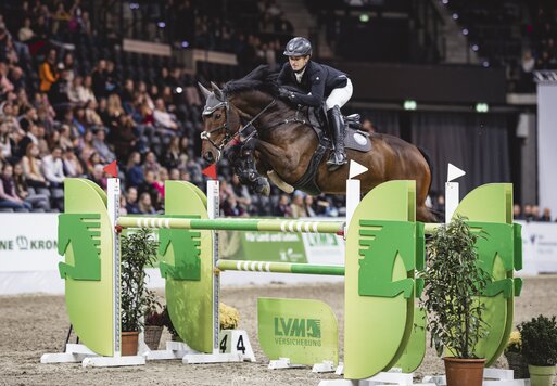 Cadence von Cador aus der Ricola von Lordanos – Noble Roi xx | Züchter: Walter Naehring, Oldenburg | © Johanna Milse