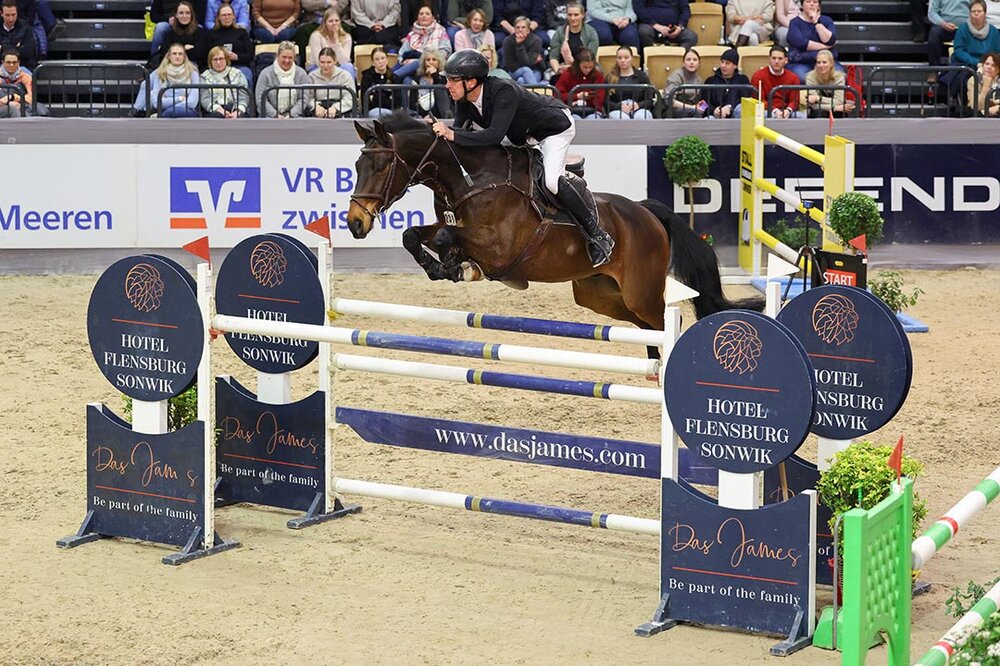 Catch Me P von Cador aus der Queen P von Quattro B - Restorator | Züchter: Landwirtschaftbetrieb Pfitzmann GbR, Linde