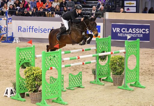 Catch Me P von Cador aus der Queen P von Quattro B - Restorator | Züchter: Landwirtschaftbetrieb Pfitzmann GbR, Linde