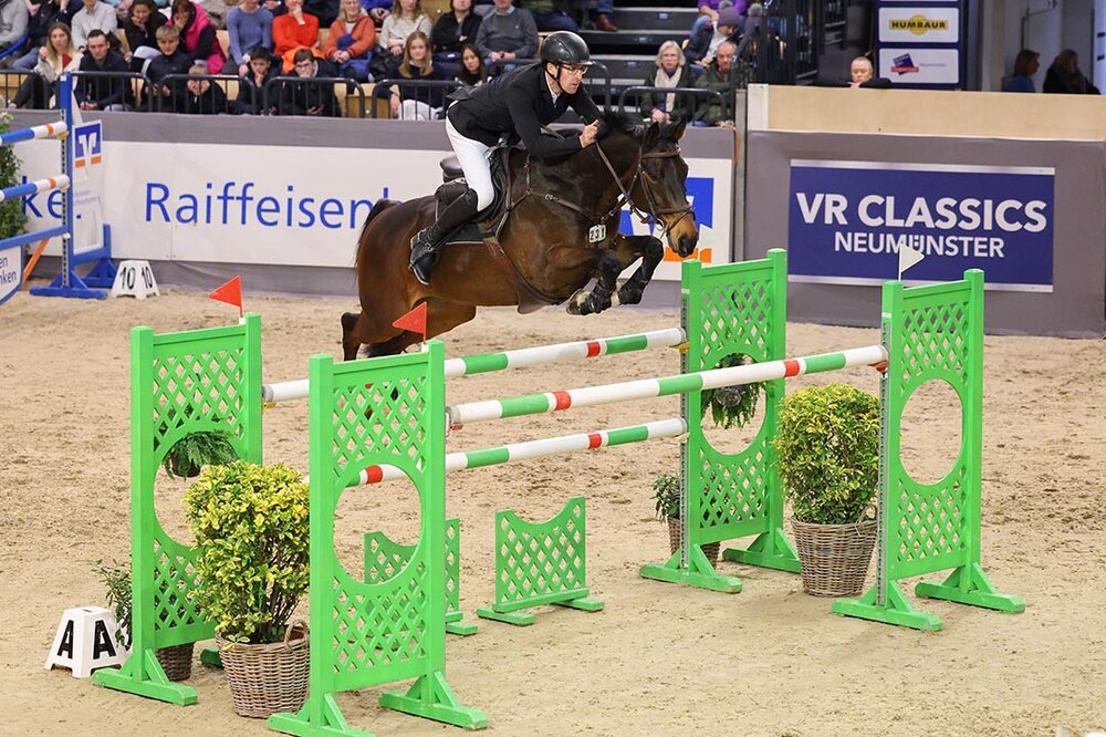 Catch Me P von Cador aus der Queen P von Quattro B - Restorator | Züchter: Landwirtschaftbetrieb Pfitzmann GbR, Linde