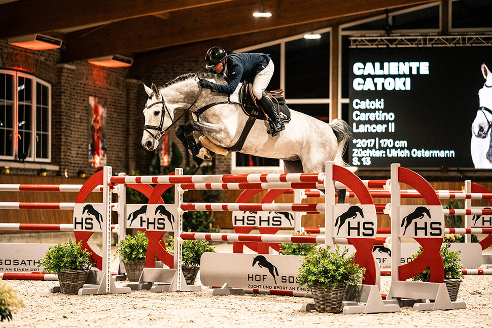 Caliente Catoki von Catoki aus der St.Pr. Chiara von Caretino - Lancer II | Züchter: Ulrich Ostermann, Adelmannsfelden
