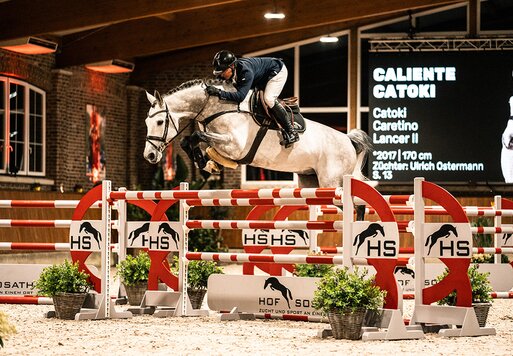 Caliente Catoki by Catoki out of St.Pr. Chiara by Caretino - Lancer II | Breeder: Ulrich Ostermann, Adelmannsfelden