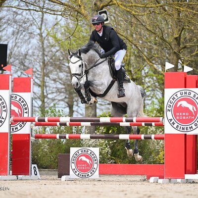 Caliente Catoki von Catoki aus der St.Pr. Chiara von Caretino - Lancer II | Züchter: Ulrich Ostermann, Adelmannsfelden