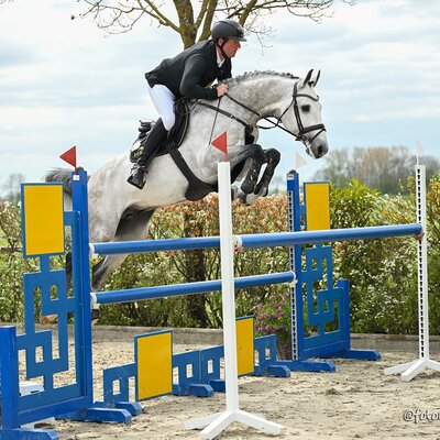Caliente Catoki von Catoki aus der St.Pr. Chiara von Caretino - Lancer II | Züchter: Ulrich Ostermann, Adelmannsfelden