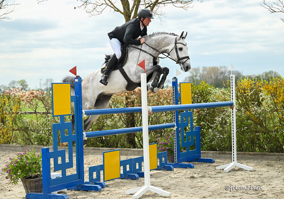 Caliente Catoki von Catoki aus der St.Pr. Chiara von Caretino - Lancer II | Züchter: Ulrich Ostermann, Adelmannsfelden